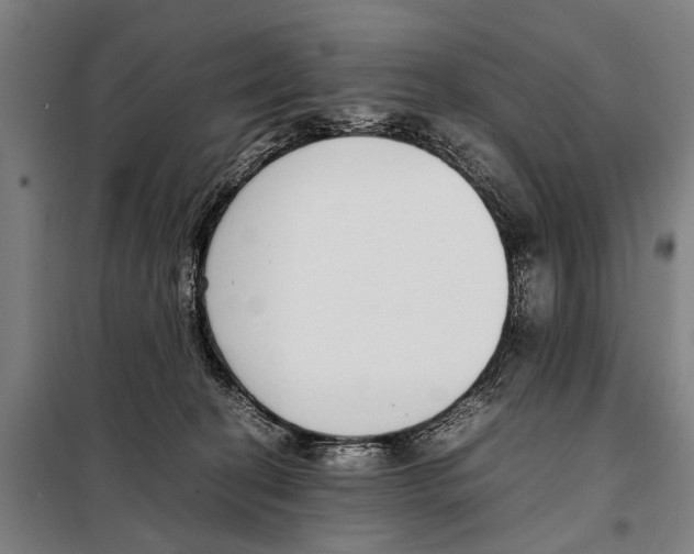 X0000097980274200804211046