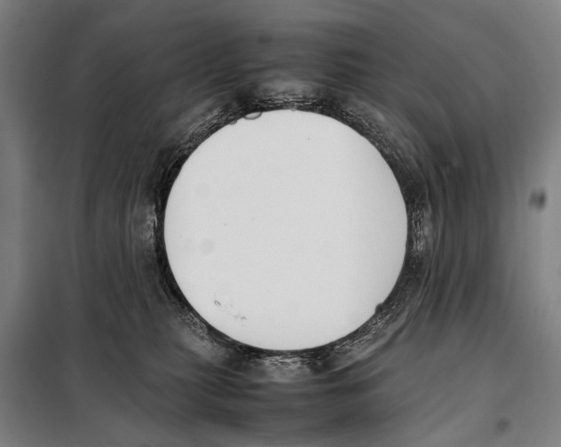 X0000097980279200804211046