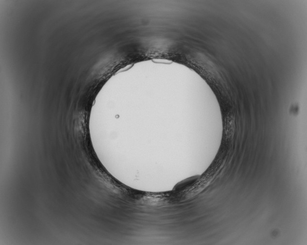 X0000097980280200804211046