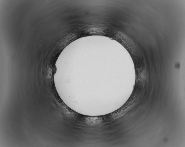 X0000097980281200804211046