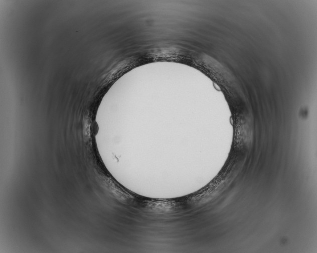 X0000097980282200804211046