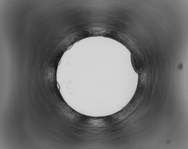 X0000097980283200804211046