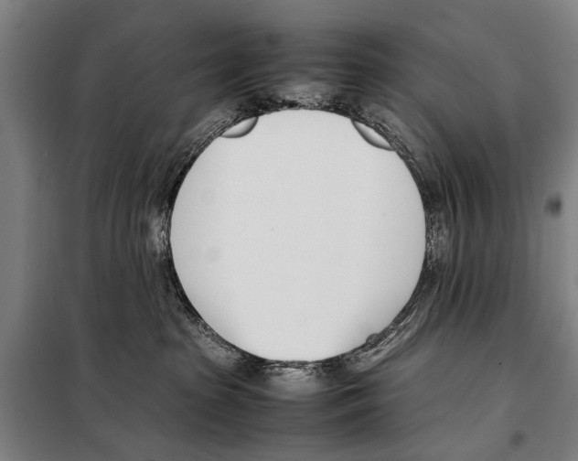 X0000097980285200804211046