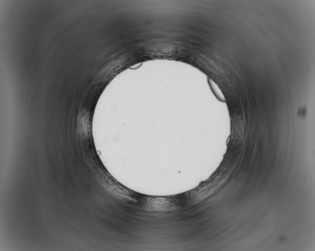 X0000097980287200804211046