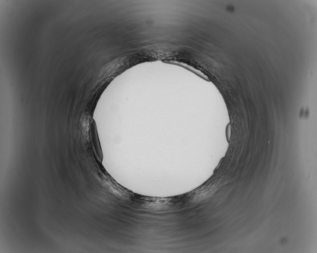 X0000097980288200804211046