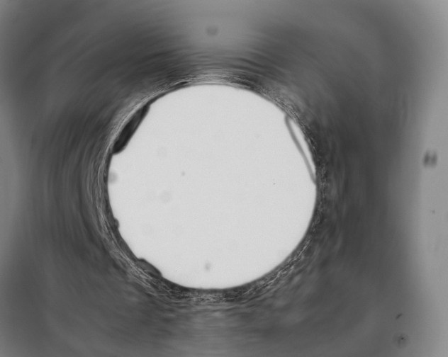 X0000097980289200804211045