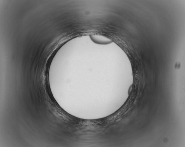 X0000097980290200804211045