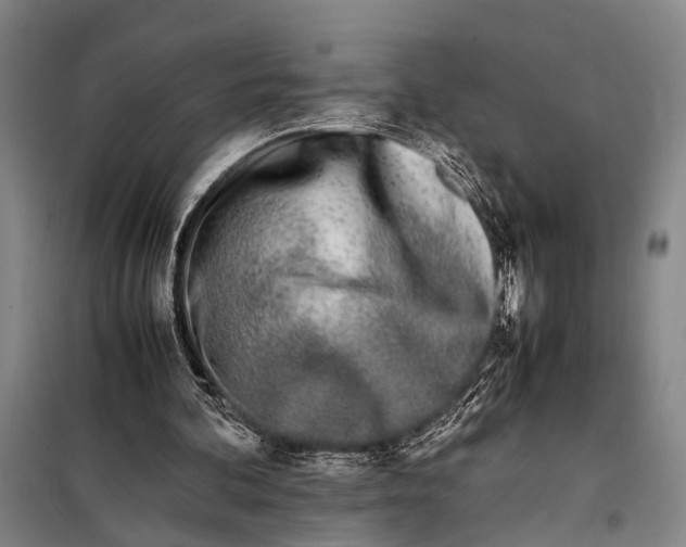 X0000097980292200804211045