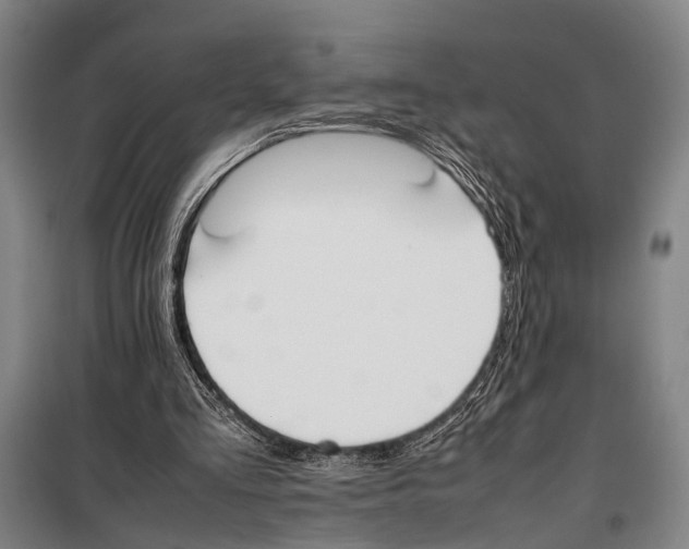 X0000097980293200804211045