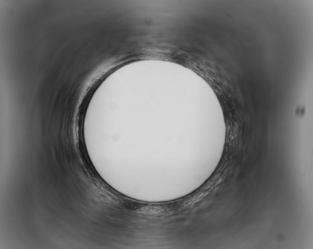 X0000097980294200804211045