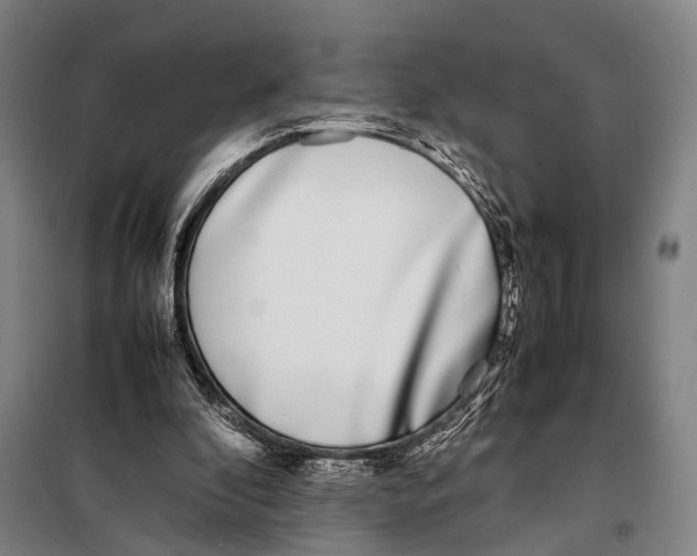 X0000097980296200804211045