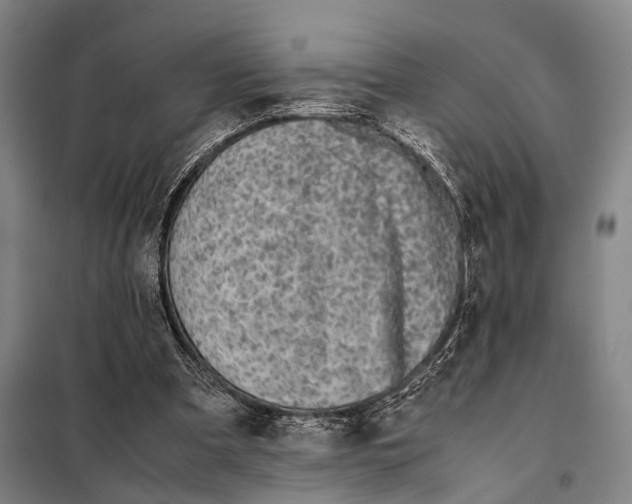 X0000097980297200804211045