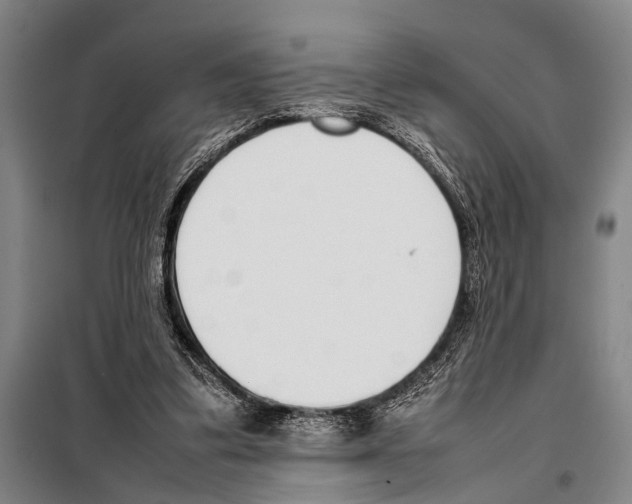 X0000097980299200804211045