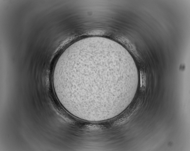 X0000097980300200804211045