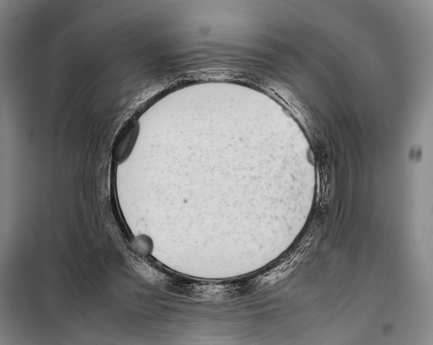 X0000097980301200804211045