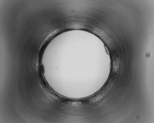 X0000097980304200804211045