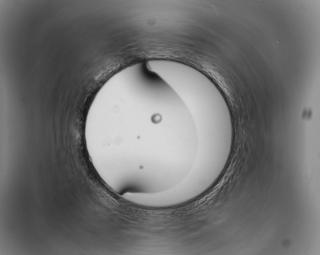 X0000097980305200804211045