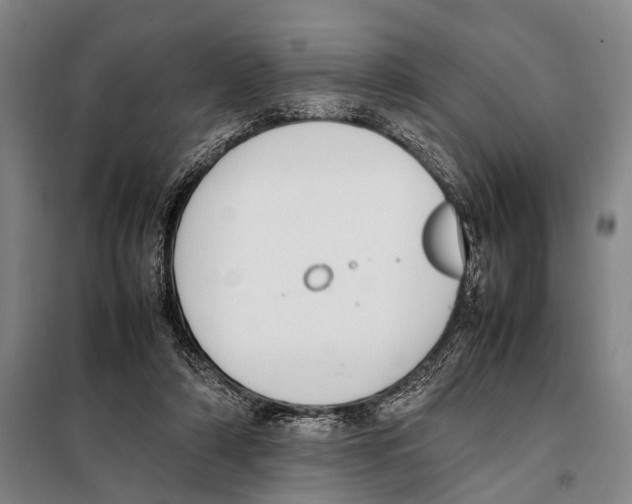 X0000097980306200804211045