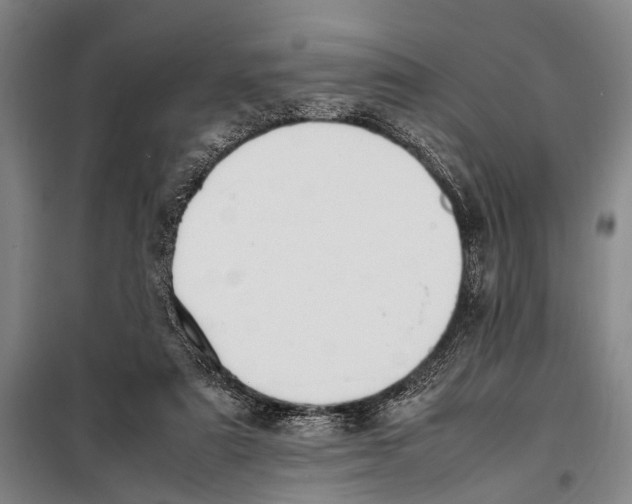 X0000097980307200804211045