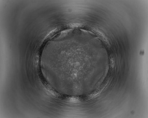 X0000097980308200804211045