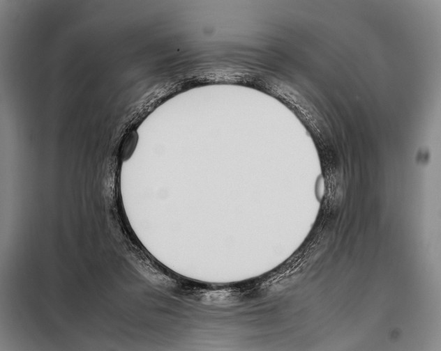 X0000097980309200804211045