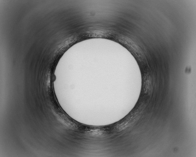 X0000097980310200804211045