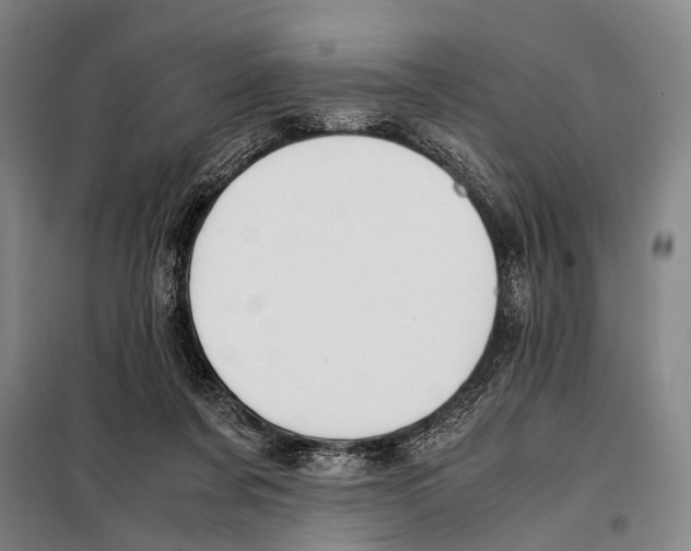 X0000097980311200804211045