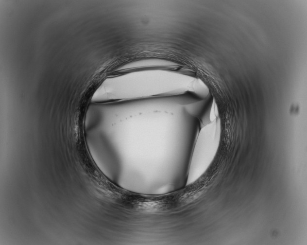 X0000097980312200804211045