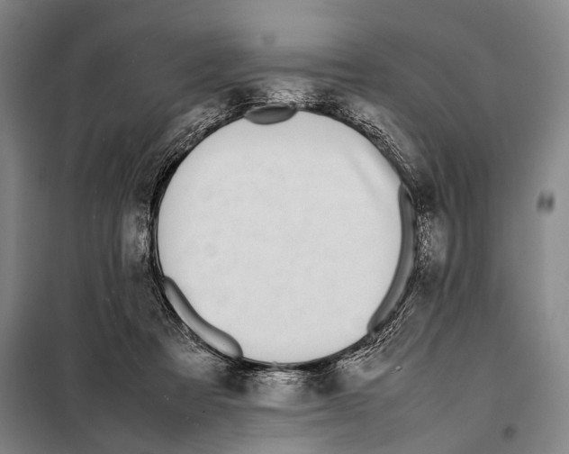 X0000097980313200804211045