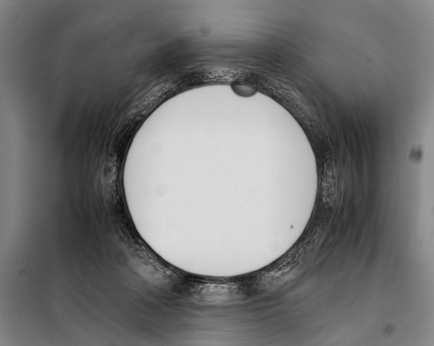 X0000097980314200804211045