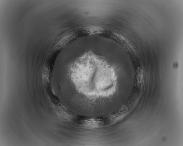 X0000097980316200804211045