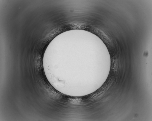 X0000097980318200804211045