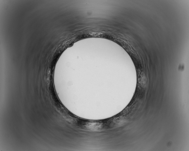 X0000097980319200804211045