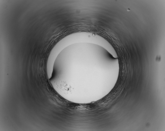 X0000097980320200804211045