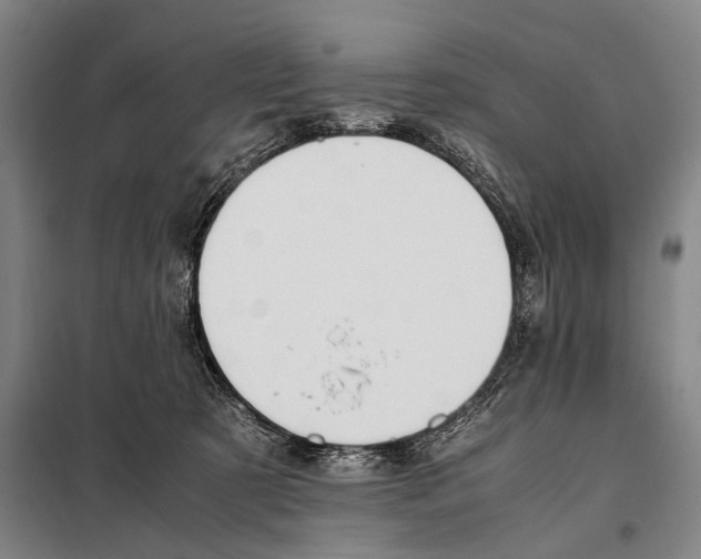 X0000097980321200804211045