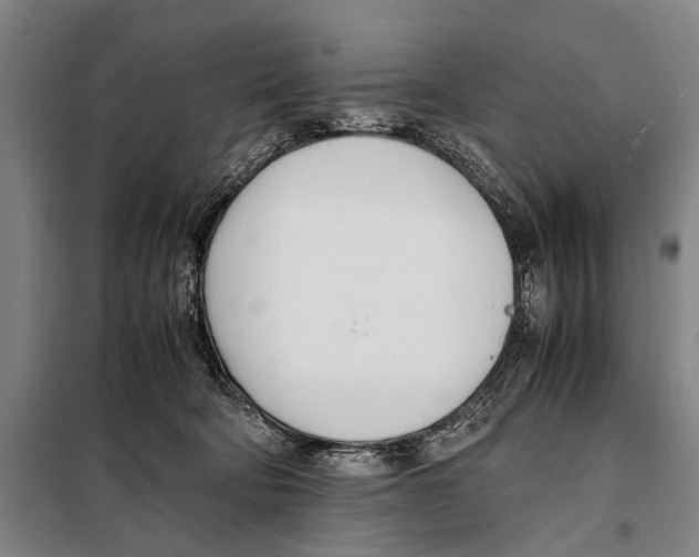 X0000097980322200804211045