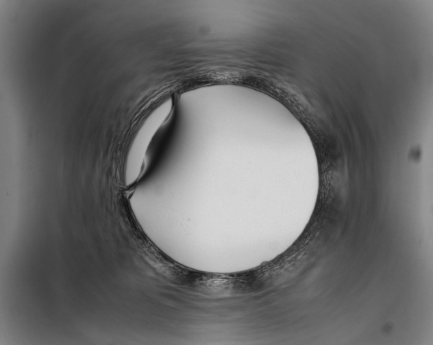 X0000097980325200804211045