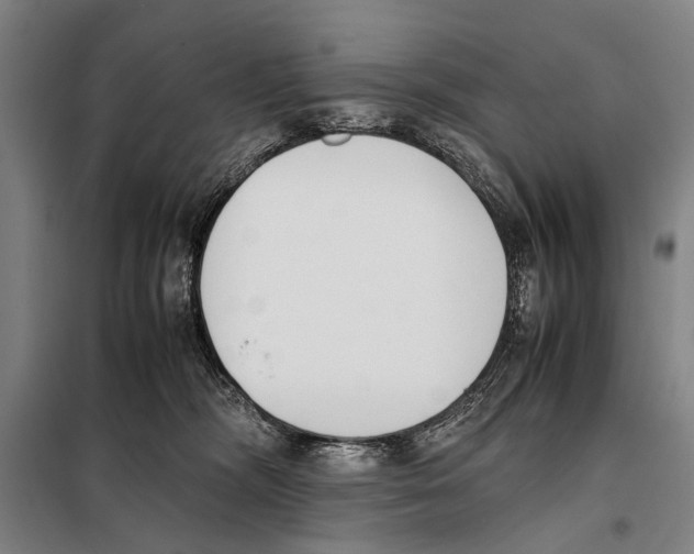 X0000097980326200804211044