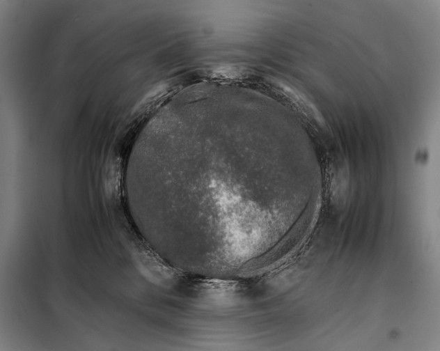 X0000097980328200804211044