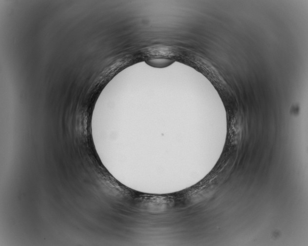 X0000097980330200804211044