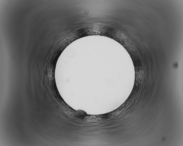 X0000097980331200804211044