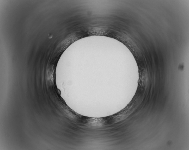 X0000097980334200804211044