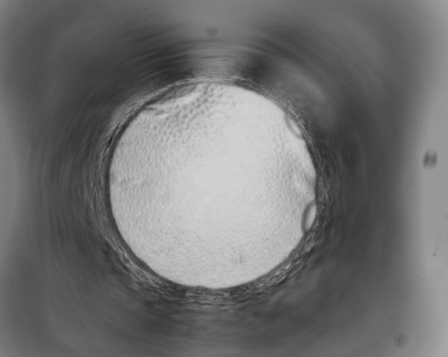 X0000097980337200804211043