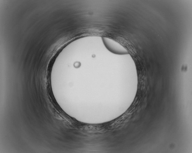 X0000097980338200804211043