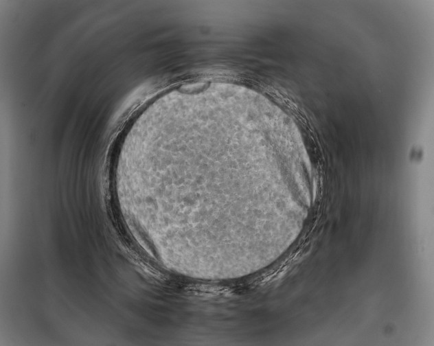 X0000097980339200804211043