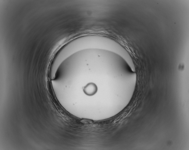 X0000097980340200804211043