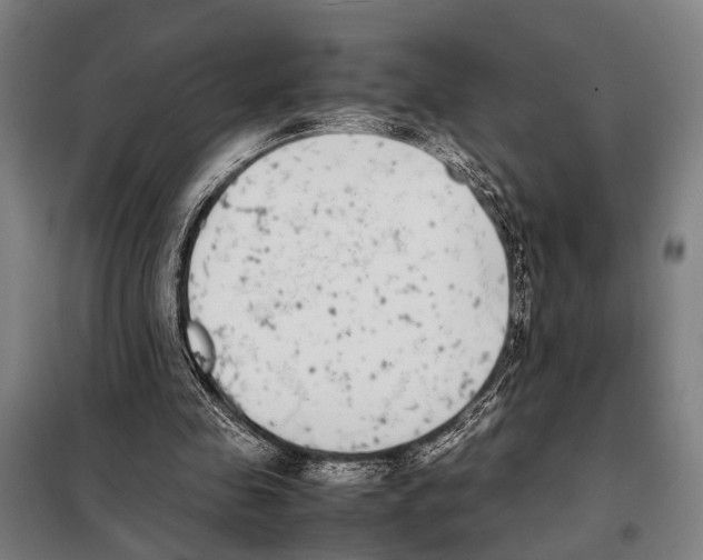 X0000097980341200804211043