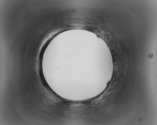 X0000097980342200804211043