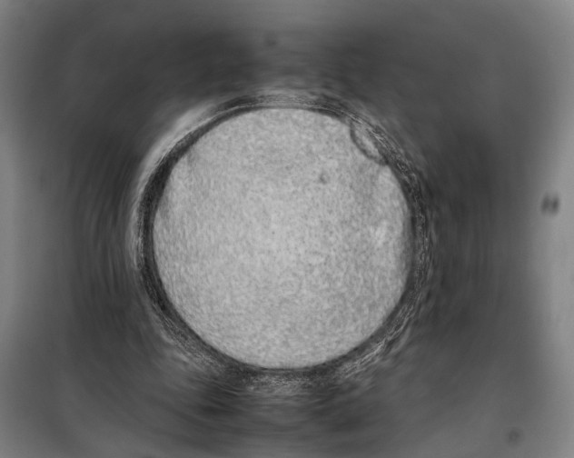 X0000097980343200804211043