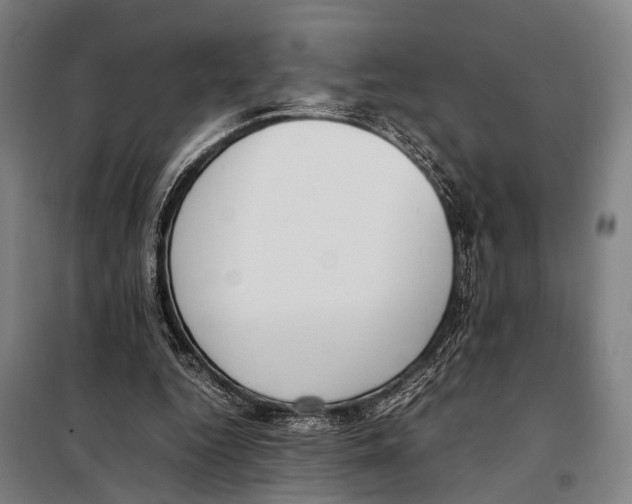 X0000097980344200804211043